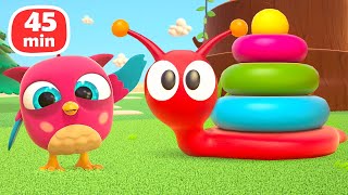 Baby cartoons amp baby videos Learn colors for kids with Hop Hop the owl Full episode cartoon [upl. by Lowenstern]