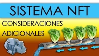 HIDROPONÍA  SISTEMA NFT EN LECHUGAS Nutrient Film Technique [upl. by Eilliw774]