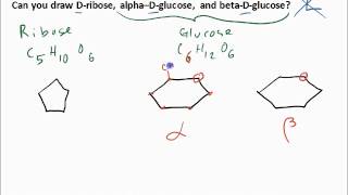 draw ribose and glucose structure [upl. by Dollar]