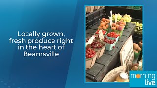 Locally grown fresh produce right in the heart of Beamsville [upl. by Kries920]