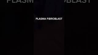 Plasma Fibroblast NonSurgical Skin Renewal [upl. by Frankel]