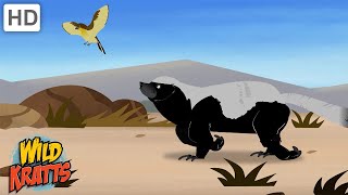 Amazing Adaptations Part 110  How Animals Survive in the Wild  Wild Kratts [upl. by Dryfoos887]