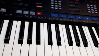 YAMAHA PSR 3500 styles demonstration [upl. by Vaules]