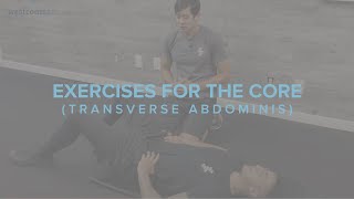 Exercises for the Core Transverse Abdominis [upl. by Erbes]