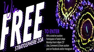 WE ARE GIVING AWAY A STRATOSPHERE ZOA [upl. by Llehsar]