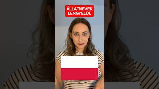 ÁLLATNEVEK LENGYELÜL bober🦫 [upl. by Lulu]