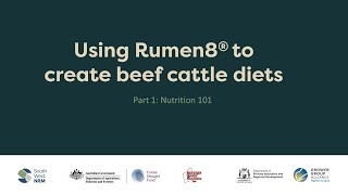 Using Rumen8 Nutrition 101 [upl. by Tera]