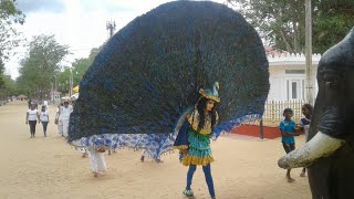 Peacock dance sri lanka [upl. by Adni]