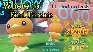 Pokemon Scarlet and Violet  Where to Find Torchic [upl. by Notneuq]