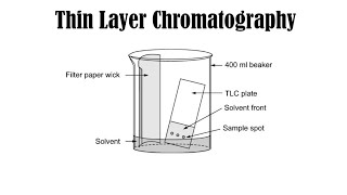 Thin Layer Chromatography explained in urdu  Macrostars Academy [upl. by Philemon489]