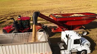 Brandt XT Grain Carts [upl. by Yerot]