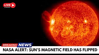 Top NASA Scientist Reveals the SUNS SHOCKING Magnetic Flip Secret [upl. by Danika]