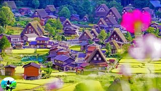 Shirakawago the BEST ancient village in Japan🤩shirakawago Gifu Ken Japantravelwithme [upl. by Harolda]