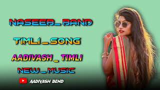 Naseeb Star Band TimLi Tone Aadivash Timli Song [upl. by Bergstein]