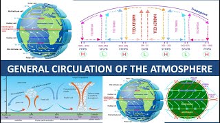 GENERAL ATMOSPHERIC CIRCULATION  THREE CELL MODEL  TRICELLULAR MERIDIONAL CIRCULATION [upl. by Kealey707]