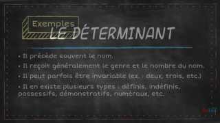 Classes de mots variables [upl. by Macswan267]