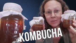 My basic Kombucha Recipe [upl. by Slifka]