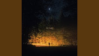 Numb [upl. by Olvan]