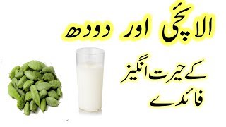 Doodh Elaichi ke Fayde  Warm Milk with Cardamom Benefits in urdu [upl. by Suirada207]