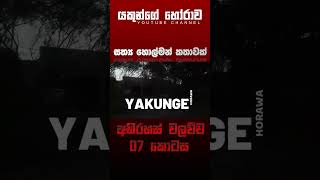 අභිරහස් වලව්ව 07 කොටස  sinhala holman katha sinhalaholmankatha horrortok viral foryou [upl. by Golanka]