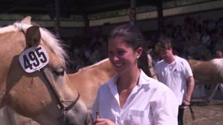 Haflinger Welt Ausstellung 2015 Ebbs Tirol  die Highlights vom Freitag [upl. by Tingley478]