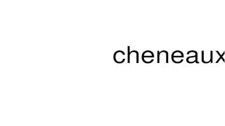 How to pronounce cheneaux [upl. by Adian]