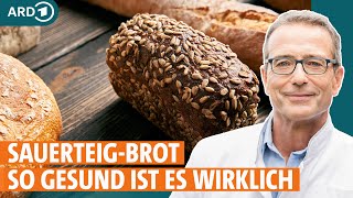 Sauerteigbrot Warum es weniger Gluten enthält und beim Abnehmen hilft I ARD Gesund [upl. by Eeb]