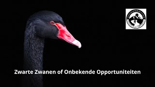 Zwarte Zwanen of Onbekende Opportuniteiten  Rob Cuijvers [upl. by Hanid]