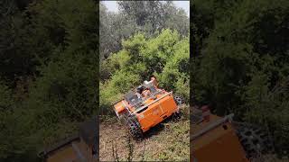 Extreme RC slope mower  AS 1000 OVIS RC mower lawncare [upl. by Sax]