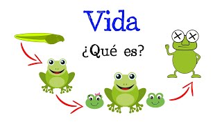 🐸 ¿Qué es la Vida 🐸 Fácil y Rápido  BIOLOGÍA [upl. by Eidnarb791]