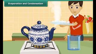 Evaporation and Condensation [upl. by Ettelliw]