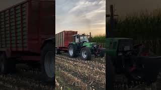 Deutz Fahr AgroStar 631 [upl. by Atinauq]