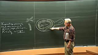 Louis Kauffman  Introduction to Virtual Knot Theory [upl. by Marvin]