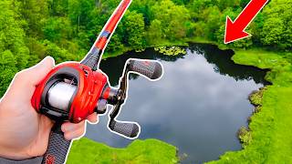 Fishing for 15lb Bass in HIDDEN Pond [upl. by Tik]