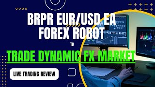 Automated Trading Forex RobotBRPR Auto Trader20 Weeks Live Trading Bot Performance ReviewFX EA [upl. by Mchale]