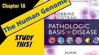 Robbins and Cotran Pathologic Basis of Disease Chapter 1A  The Human Genome StudyThis [upl. by Nemad395]