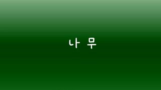 Korean Reading Practice [upl. by Otrebogad]