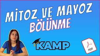 MİTOZ BÖLÜNME VE MAYOZ BÖLÜNME FULL TEKRAR TYT 2025 [upl. by Wyndham602]