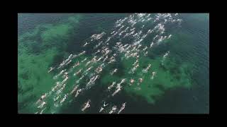 Gracetown 2021 Bay Swim 480HD [upl. by Eetnahs113]