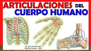 🥇 ARTICULACIONES DEL CUERPO HUMANO EN 17 minutos  Resumen [upl. by Aarika]