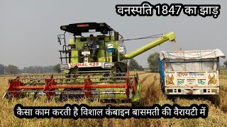 हरियाणा में अबकी बार वनस्पति 1847 का झाड़। vishal vishalharvester sadeep [upl. by Hildegard]