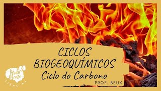 CICLOS BIOGEOQUÍMICOS CICLO DO CARBONO – Ensino Fundamental [upl. by Adnirual]