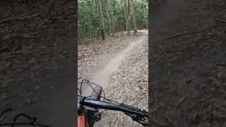 Lysterfield blare witch mountainbike mtbbikes mtb [upl. by Kinna]