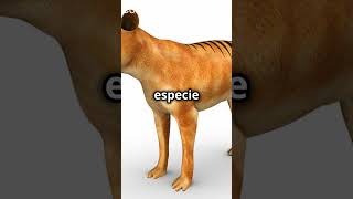 quot5 Animales Extintos que Te Sorprenderán 🌍🦣quotcurioso shortviral [upl. by Redlac]