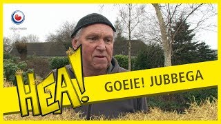 HEA Goeie Jubbega [upl. by Eclud]