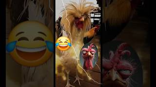 Chants de Coqs Drôles 😂🤣  Short Video youtubeshort videoshort shorts funnyshort [upl. by Renzo235]