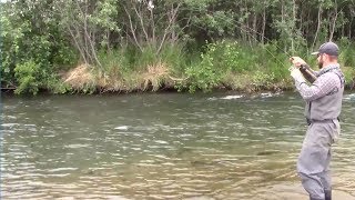 Fishing with Bears Salmon fishing in Alaska [upl. by Chavey]