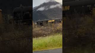 TRAIN ALASKA RAIL ROAD [upl. by Hegyera647]