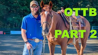 Training a OTTB Part 2 [upl. by Geiger]