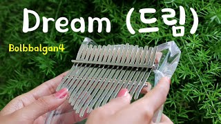 Bolbbalgan4  Dream 드림 Ost Hwarang Kalimba Cover with Tabs [upl. by Aehsat]